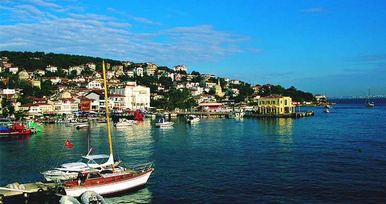 Adalar böcek ilaçlama