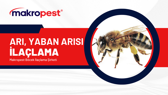 arı-ilaçlama