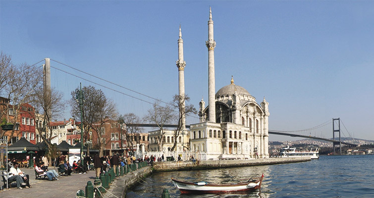Beşiktaş Böcek İlaçlama