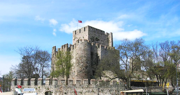 Beykoz fare ilaçlama