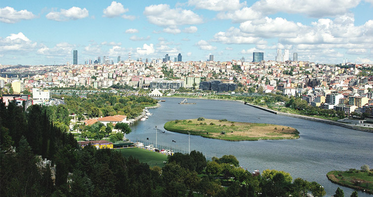 Eyüp fare ilaçlama