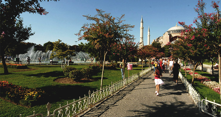 Fatih fare ilaçlama