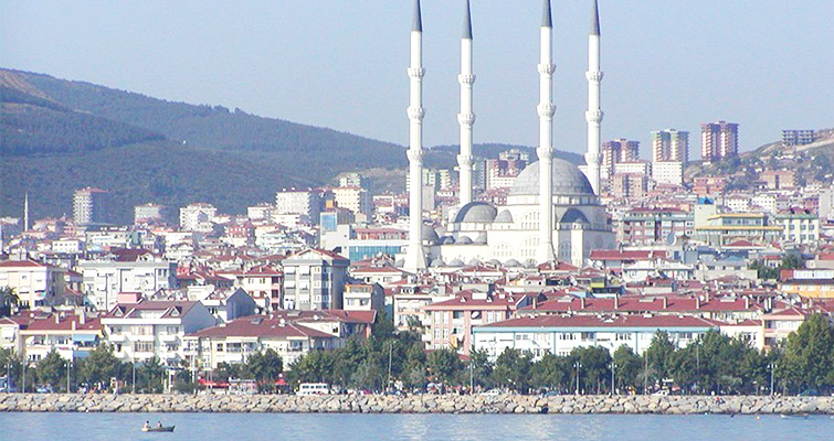 Maltepe fare ilaçlama