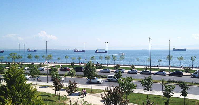 Pendik fare ilaçlama
