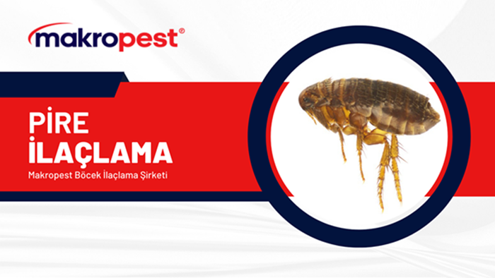 pire ilaçlama