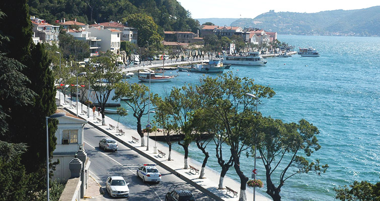 Sarıyer ilaçlama