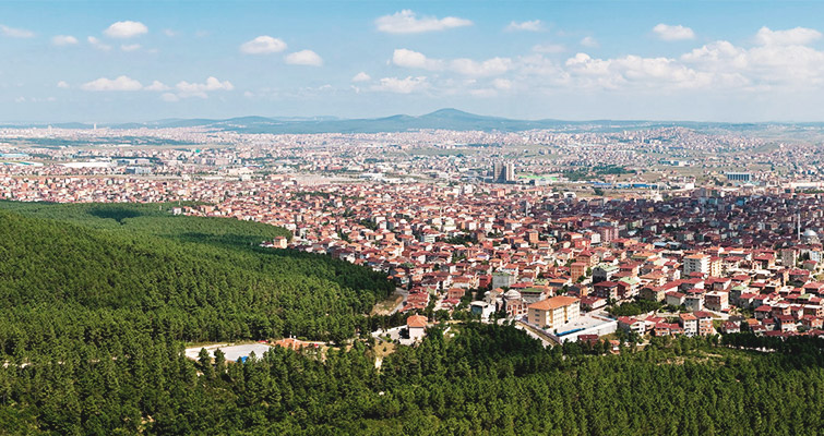 Sultanbeyli böcek ilaçlama
