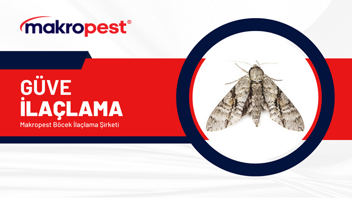 güve-ilaçlama-şirketi