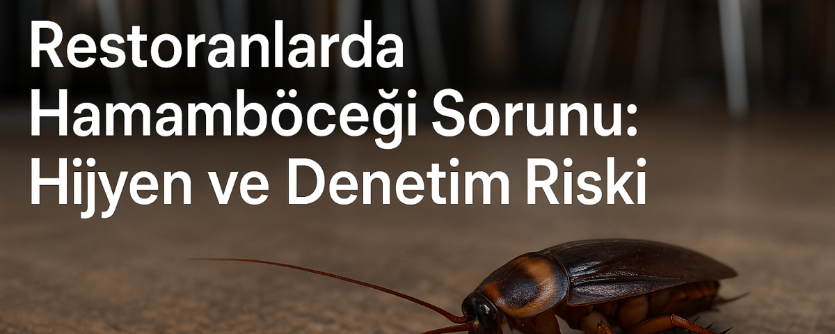 Restoran mutfağında hamamböceği varsa hem hijyen hem de denetim riski altındasınız. Müşteri kaybı yaşamamak için alınması gereken önlemleri öğrenin